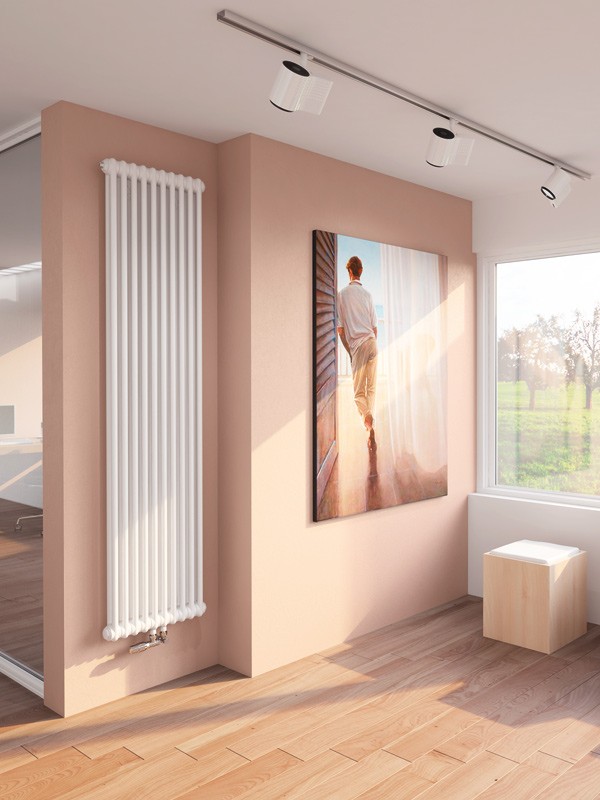 Classic designradiator voor de woonkamer levert de voor badkamer, woonkamer, keuken, slaapkamer en